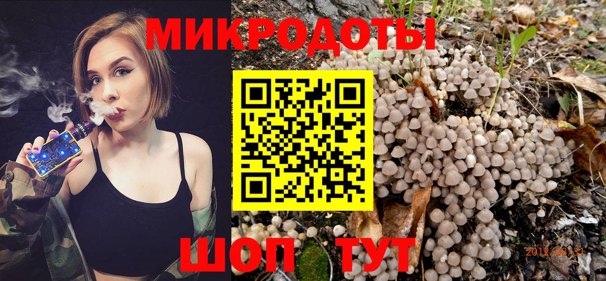 Псилоцибиновые грибы мицелий Солнечногорск
